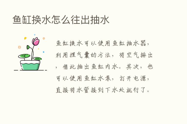 鱼缸换水怎么往出抽水