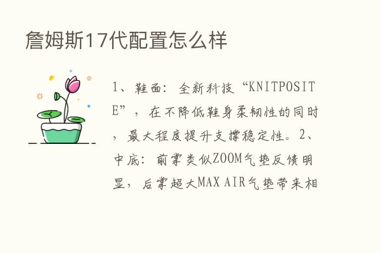 詹姆斯17代配置怎么样