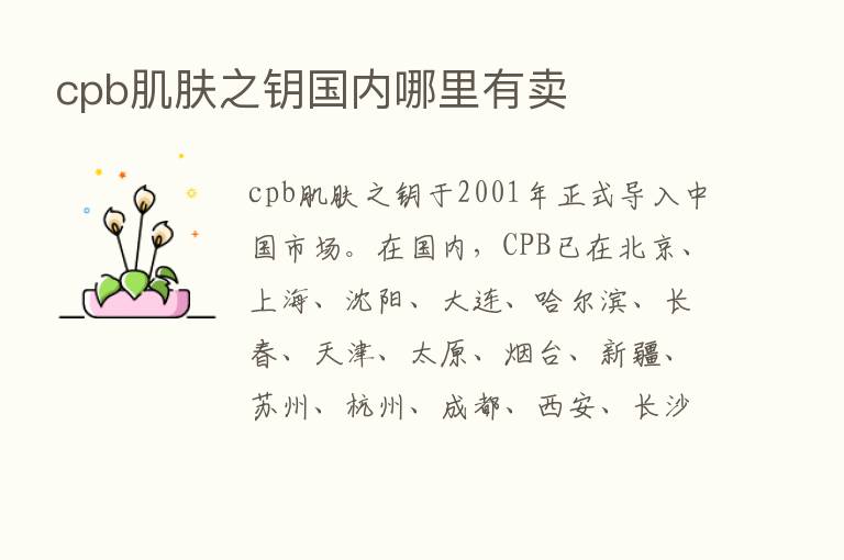 cpb肌肤之钥国内哪里有卖