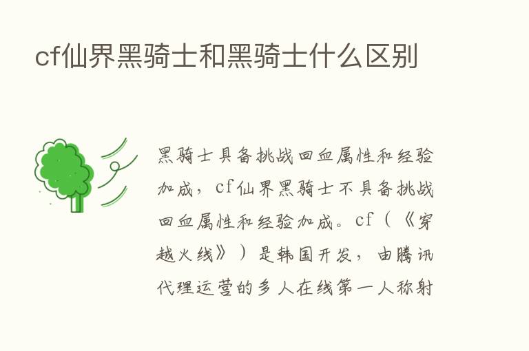 cf仙界黑骑士和黑骑士什么区别