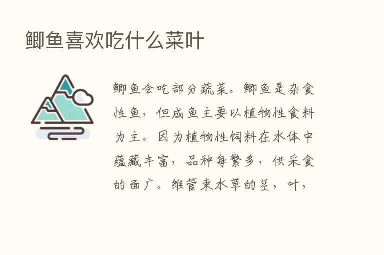 鲫鱼喜欢吃什么菜叶