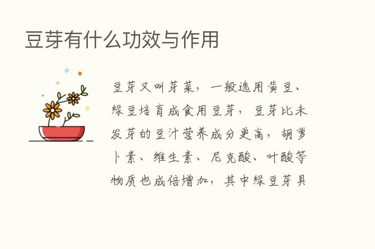 豆芽有什么功效与作用