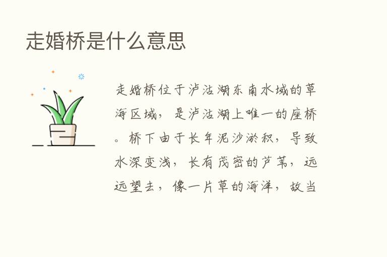 走婚桥是什么意思