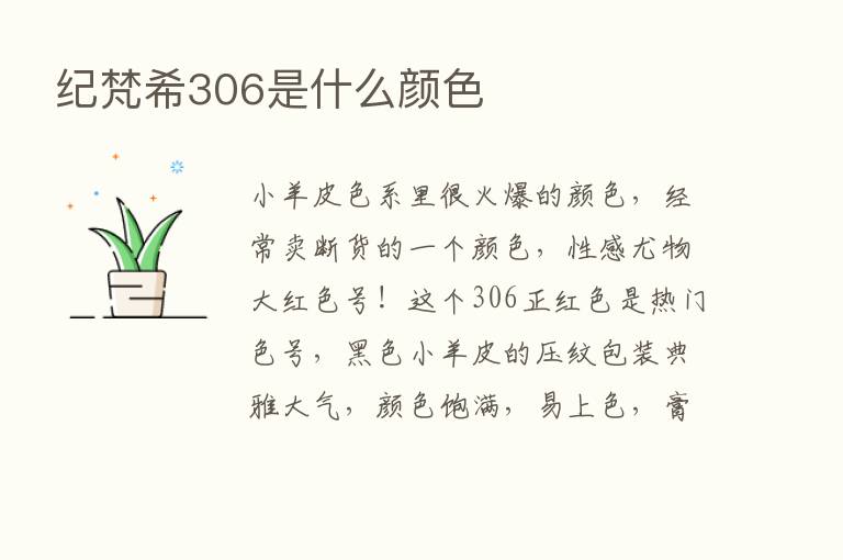 纪梵希306是什么颜色