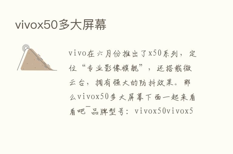 vivox50多大屏幕