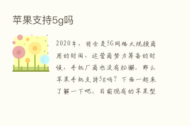 苹果支持5g吗