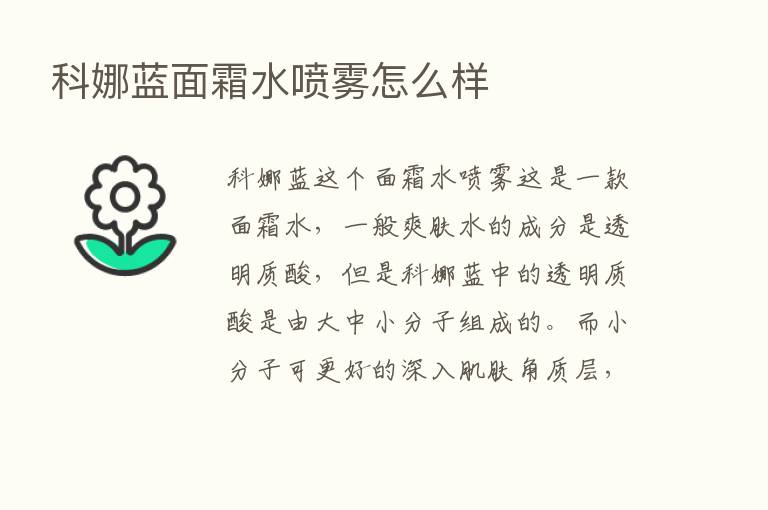 科娜蓝面霜水喷雾怎么样