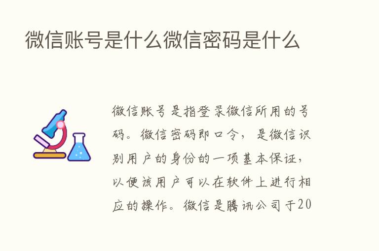 微信账号是什么微信密码是什么