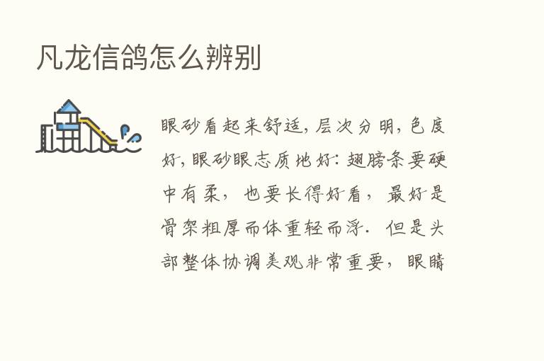 凡龙信鸽怎么辨别