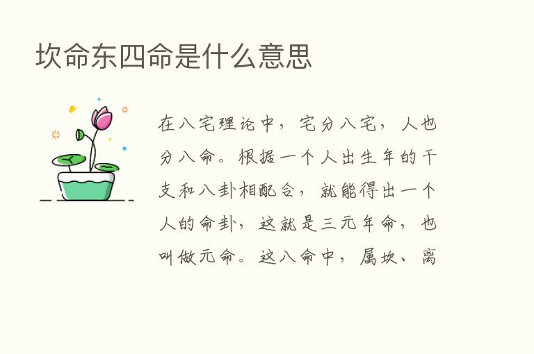 坎命东四命是什么意思