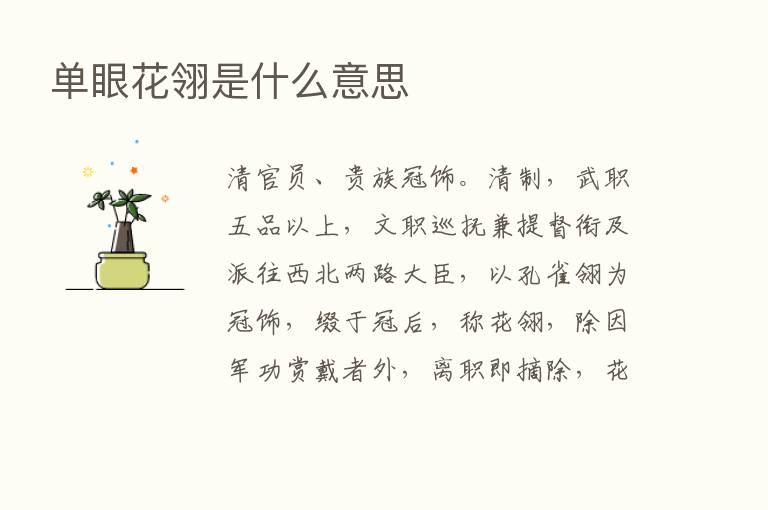 单眼花翎是什么意思