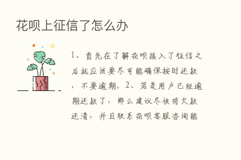 花呗上征信了怎么办