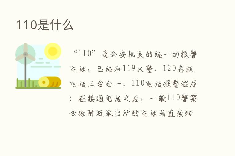 110是什么