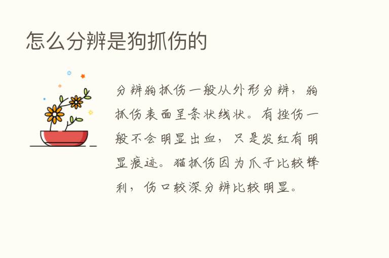 怎么分辨是狗抓伤的