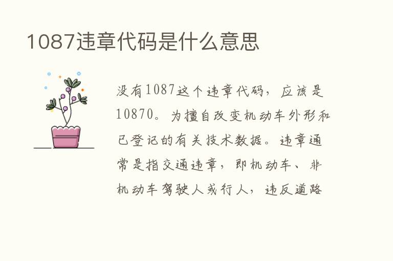 1087违章代码是什么意思