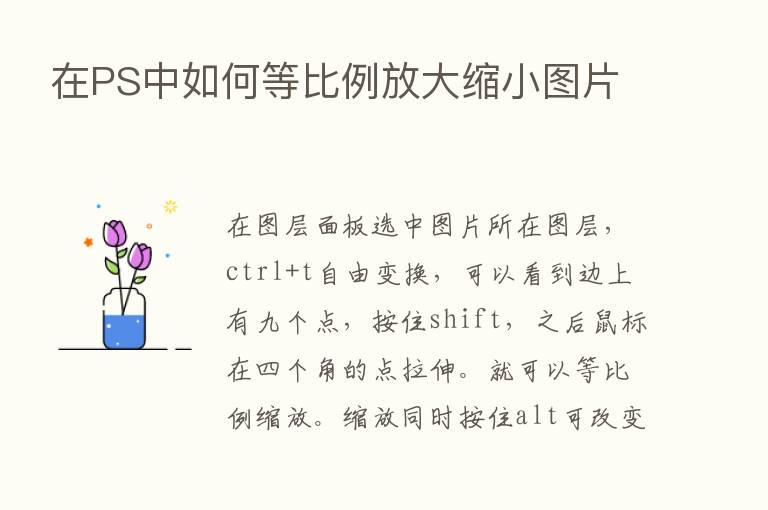 在PS中如何等比例放大缩小图片