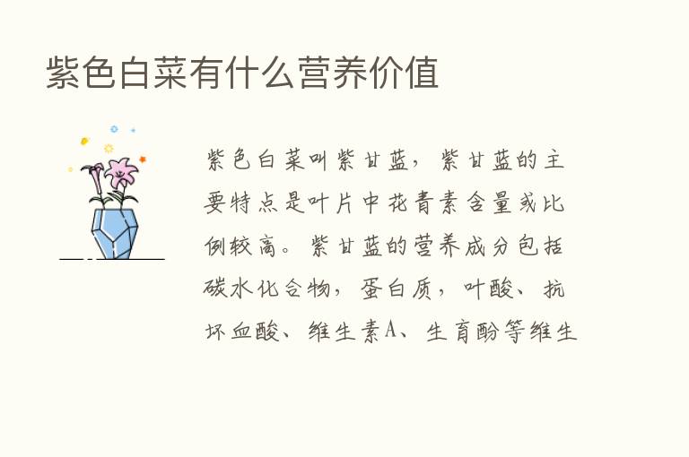 紫色白菜有什么营养价值