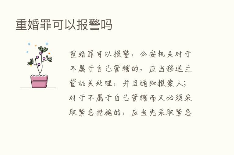 重婚罪可以报警吗