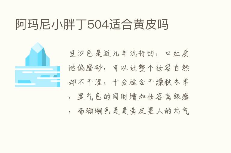 阿玛尼小胖丁504适合黄皮吗