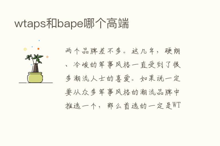 wtaps和bape哪个高端