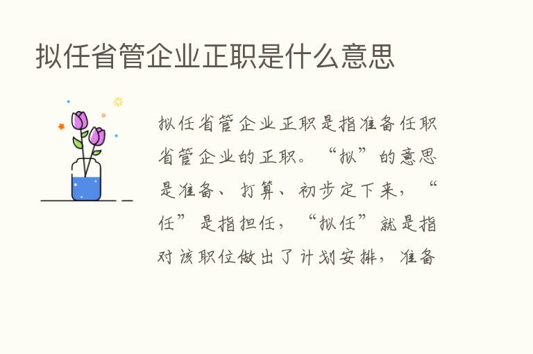 拟任省管企业正职是什么意思