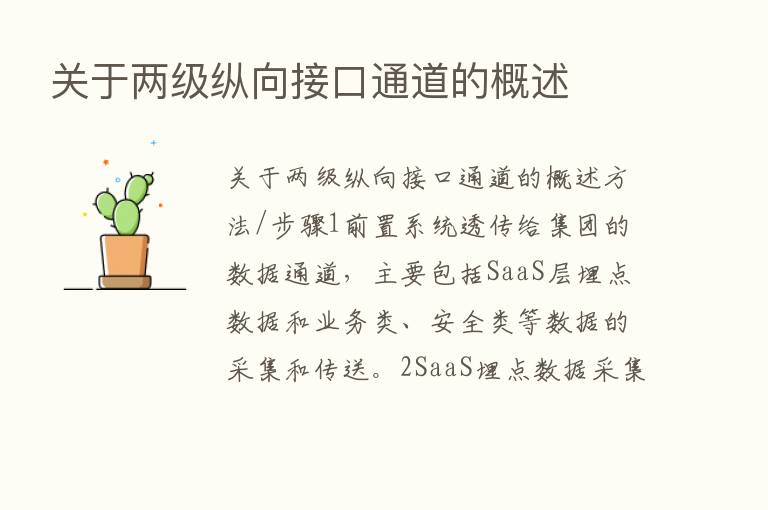 关于两级纵向接口通道的概述