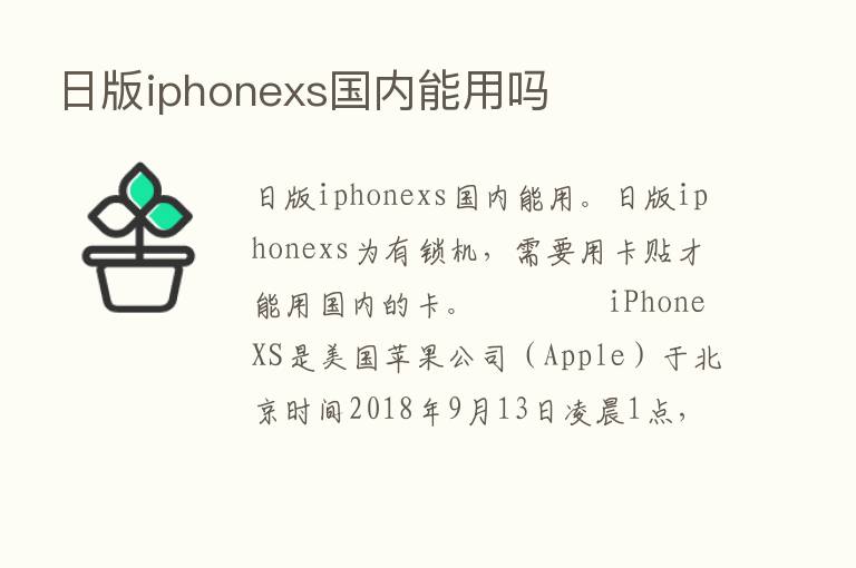 日版iphonexs国内能用吗