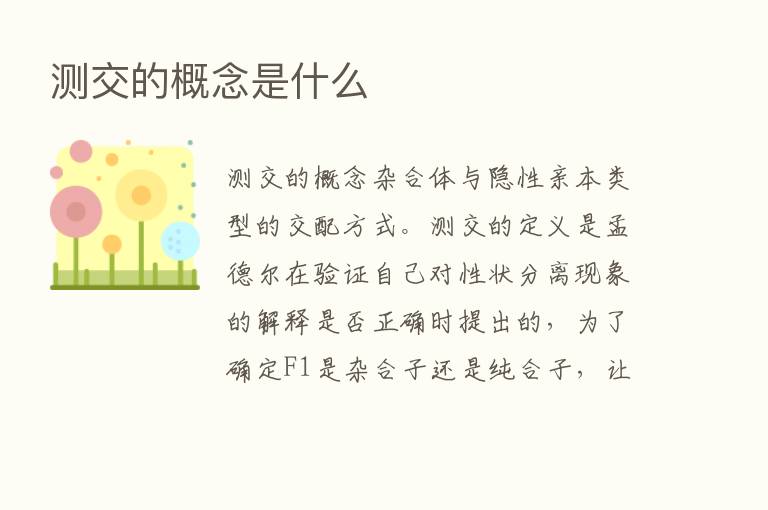 测交的概念是什么