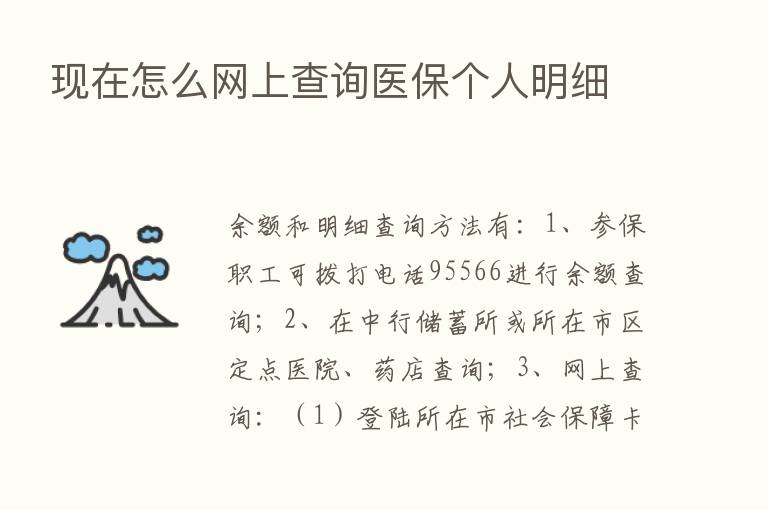 现在怎么网上查询医保个人明细