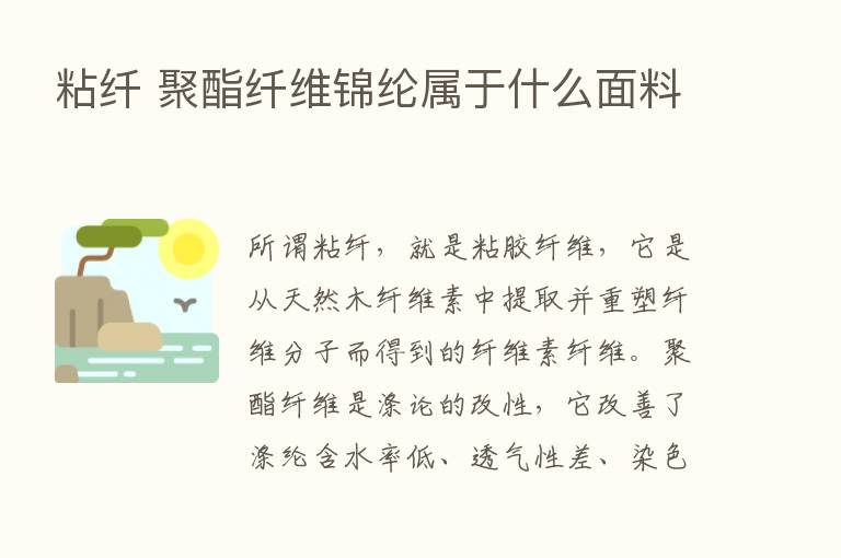 粘纤 聚酯纤维锦纶属于什么面料