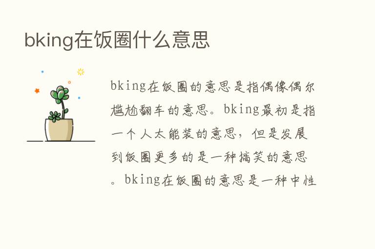 bking在饭圈什么意思