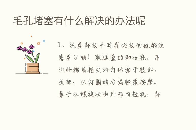 毛孔堵塞有什么解决的办法呢