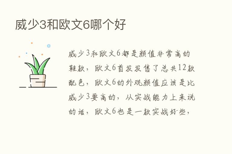 威少3和欧文6哪个好