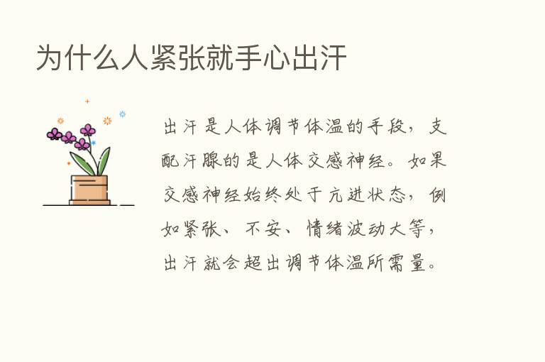 为什么人紧张就手心出汗