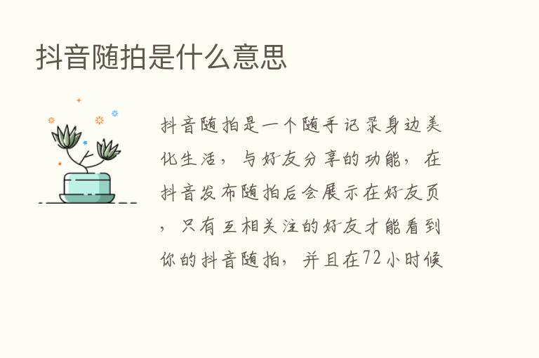 抖音随拍是什么意思