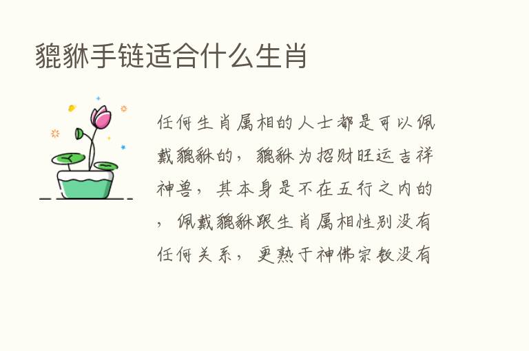 貔貅手链适合什么生肖