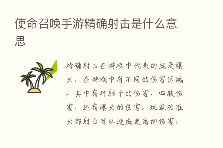 使命召唤手游精确射击是什么意思