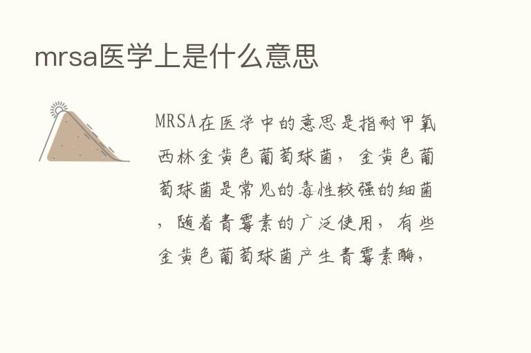 mrsa医学上是什么意思