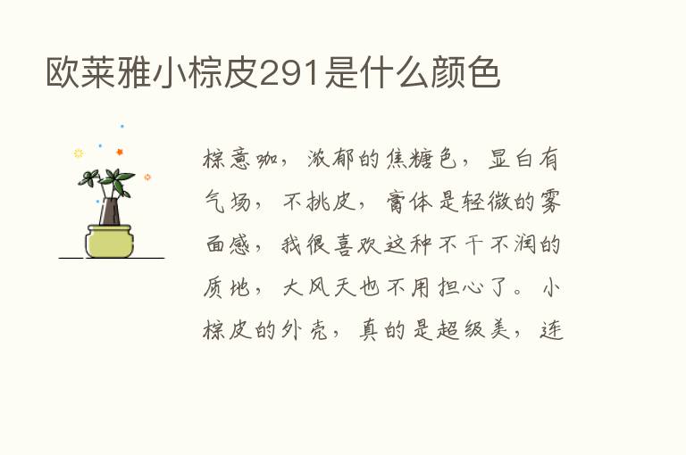 欧莱雅小棕皮291是什么颜色