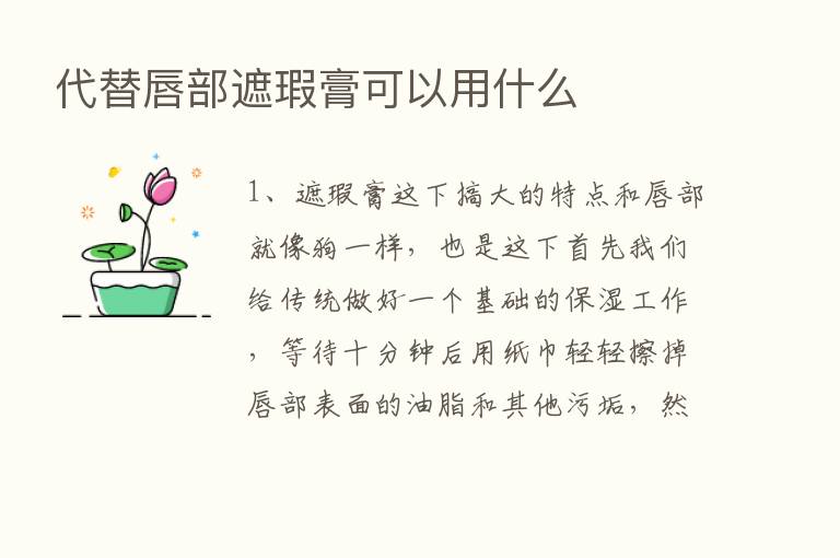 代替唇部遮瑕膏可以用什么