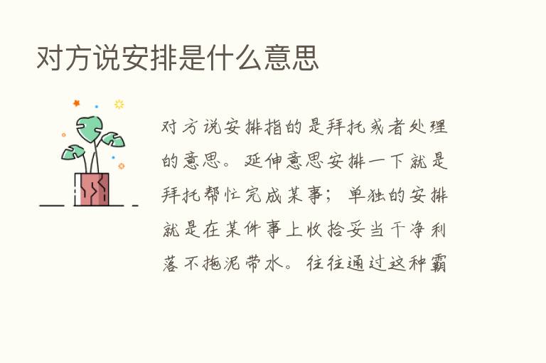 对方说安排是什么意思