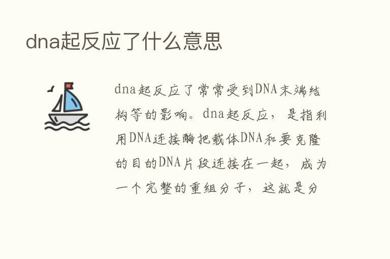 dna起反应了什么意思