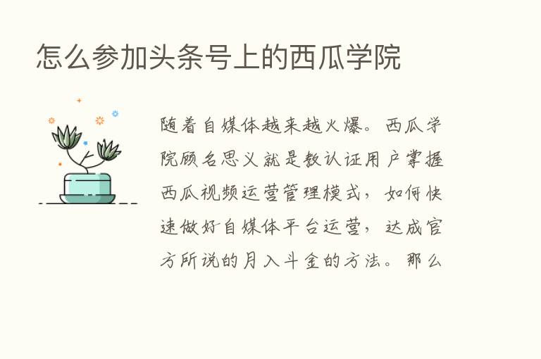 怎么参加头条号上的西瓜学院