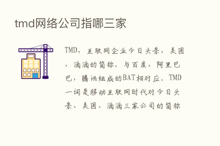 tmd网络公司指哪三家