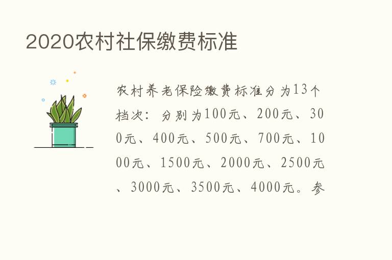 2020农村社保缴费标准