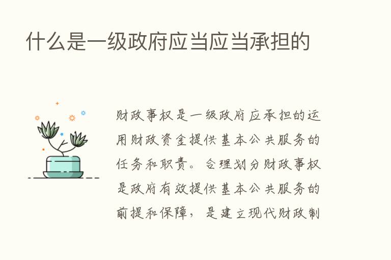 什么是一级政府应当应当承担的