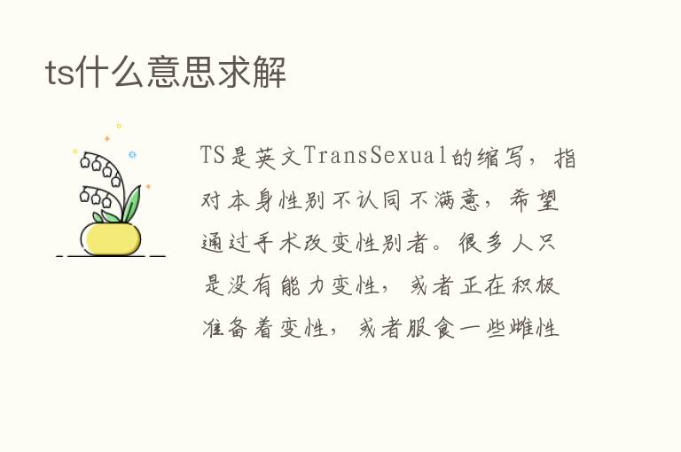 ts什么意思求解