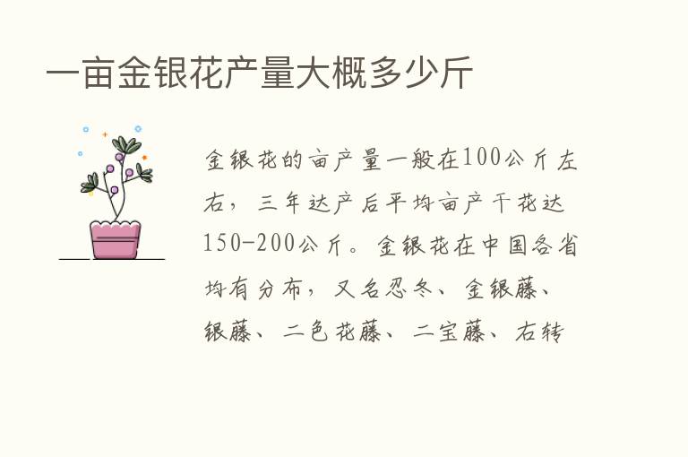 一亩金银花产量大概多少斤