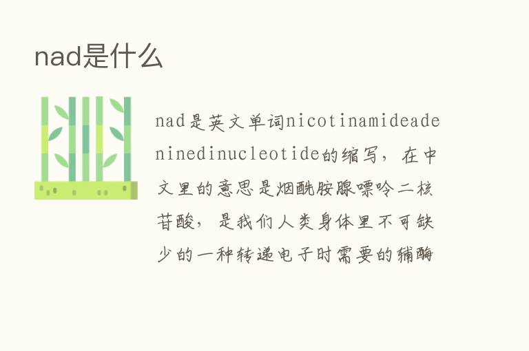 nad是什么