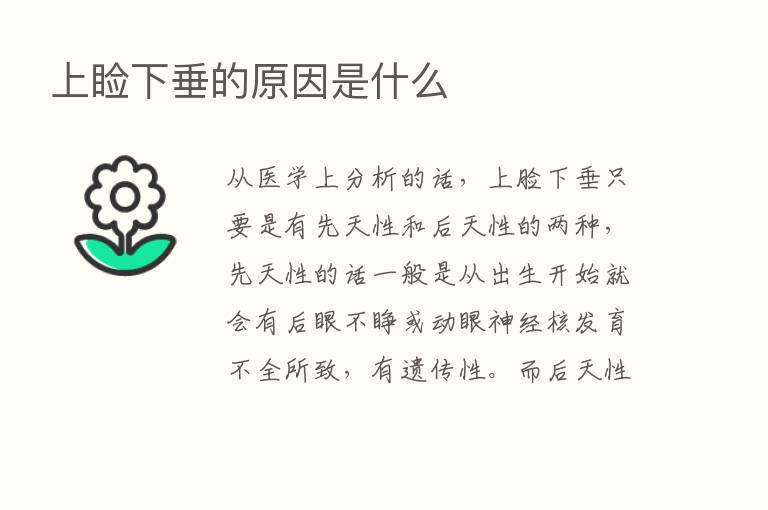 上睑下垂的原因是什么